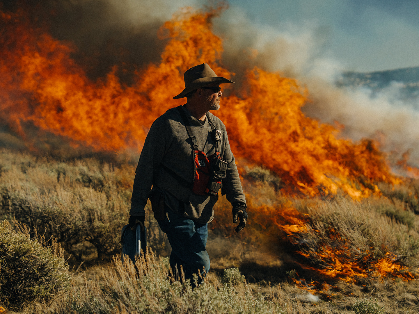 Forged in Fire