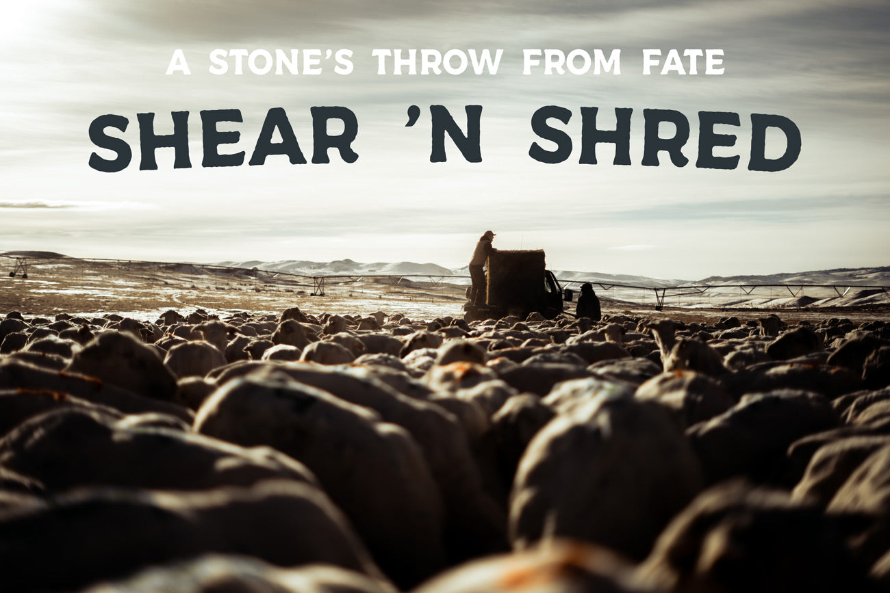 A Stone’s Throw From Fate: Shear 'N Shred