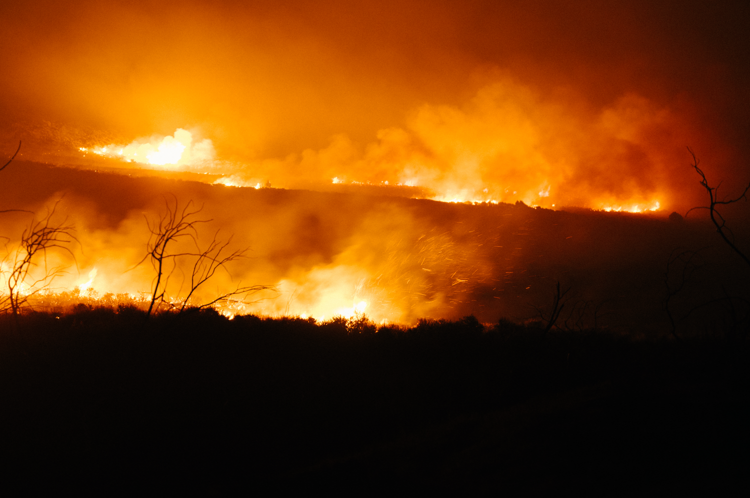 Sagebrush, Fire & Sustainability
