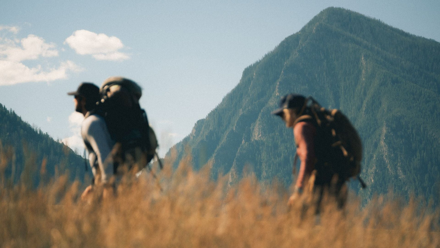 Staff Backpacking Picks