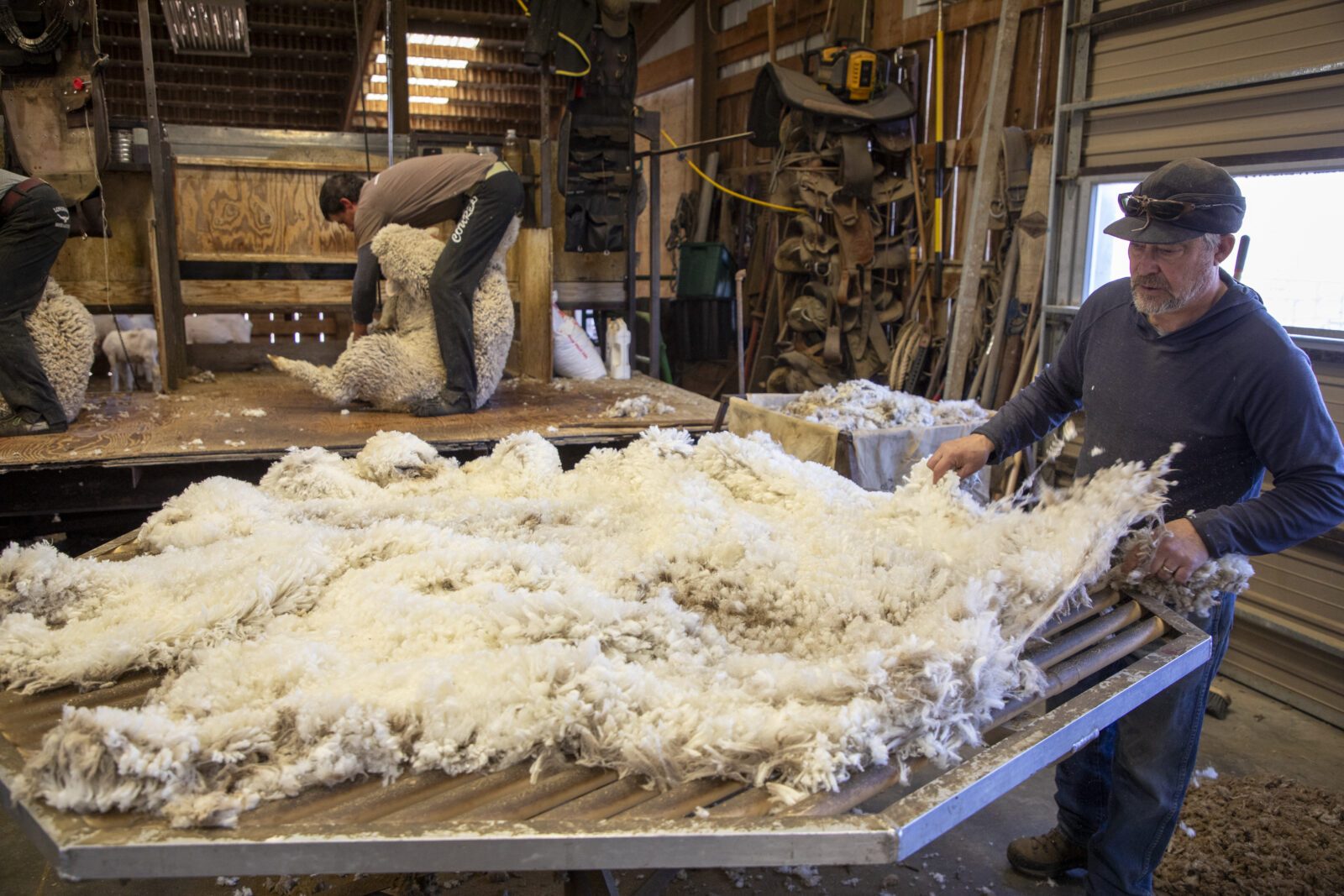 Dillon-area family brings local wool to U.S. made clothing – Duckworth
