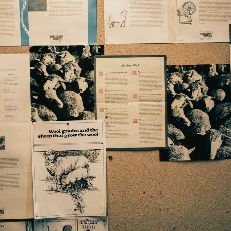 Partnership with Montana State University Wool Lab – Duckworth